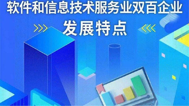 IT外包服务按人天报价：揭秘其背后的逻辑与考量**