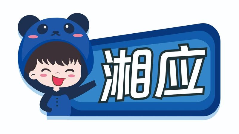 it咨询实施方法论对比