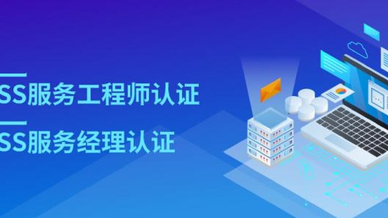 小标题：一、选择IT外包服务的误区